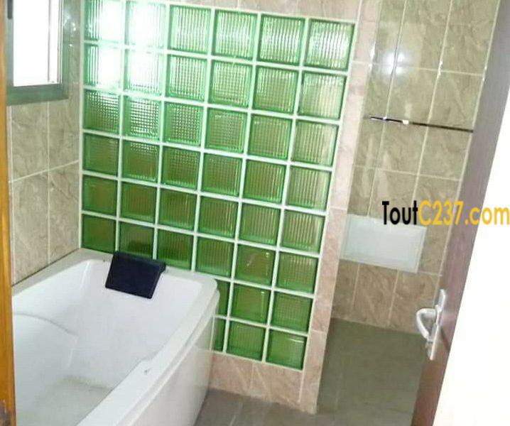 Appartement VIP à louer à Bonamoussadi, Douala
