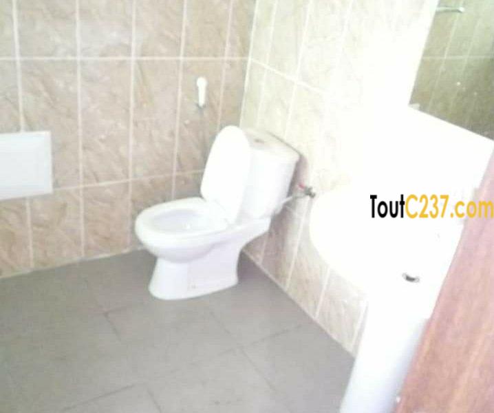 Appartement VIP à louer à Bonamoussadi, Douala