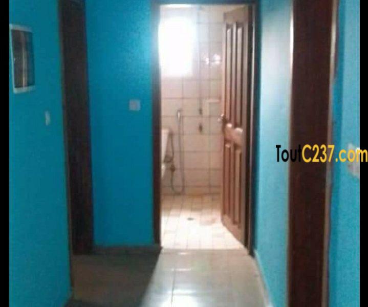 Appartement à louer à kotto, Mauryvanna, Doualaa