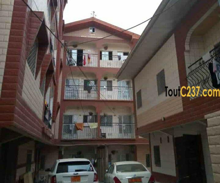 Immeuble à vendre à cité des palmiers, Douala