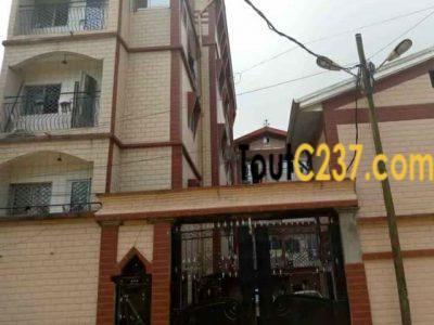 Immeuble à vendre à cité des palmiers, Douala