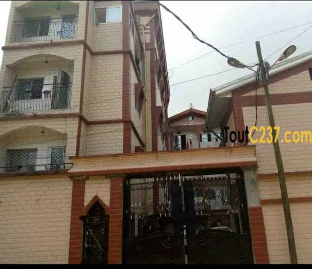 Immeuble à vendre à cité des palmiers, Douala