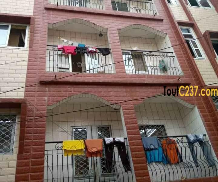 Immeuble à vendre à cité des palmiers, Douala