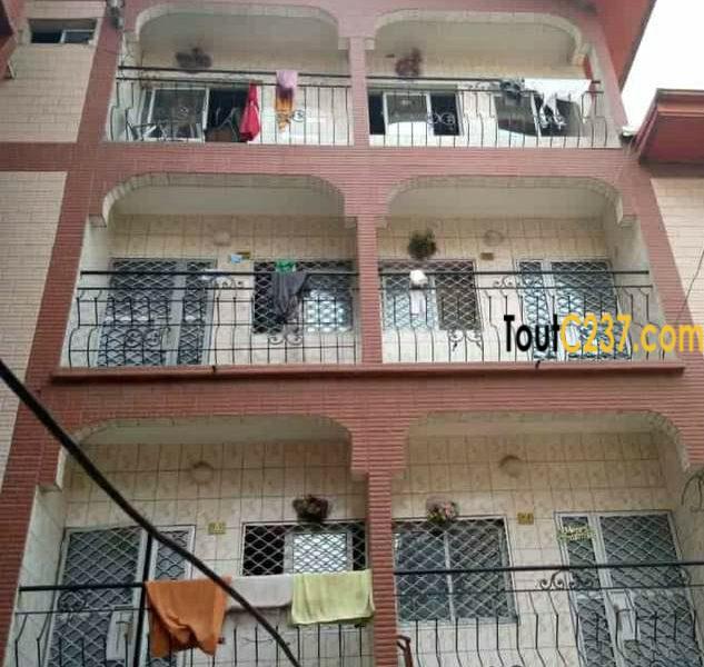 Immeuble à vendre à cité des palmiers, Douala