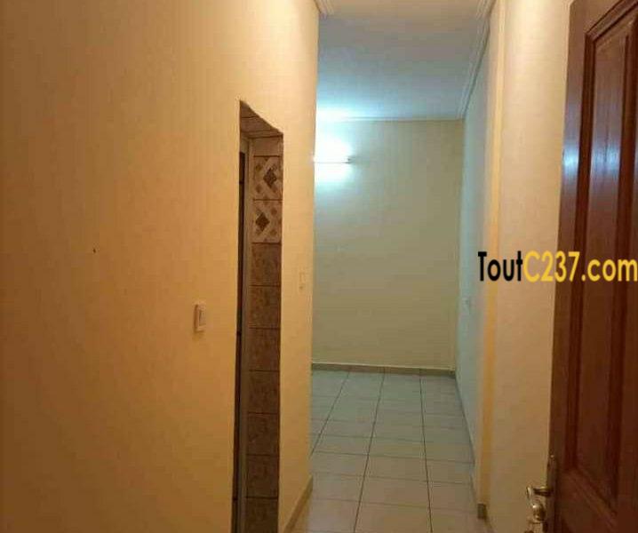 Appartement haut standing à louer à Logpom, Douala