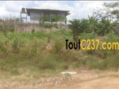 Terrain à vendre à Yassa, Douala