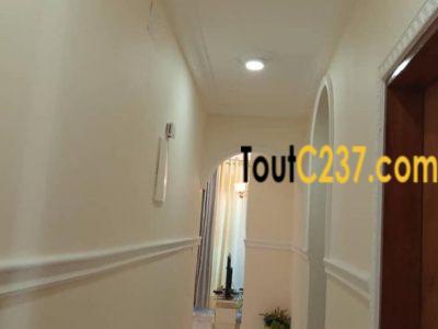 Appartement meublé à Bonapriso, Douala