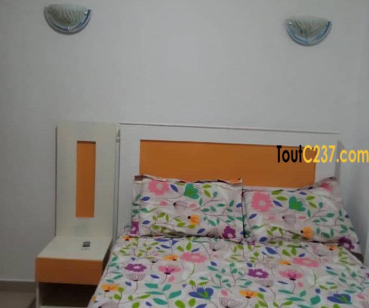 Appartement meublé à Bonapriso, Douala