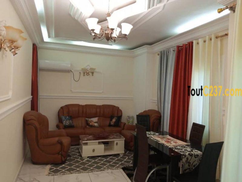 Appartement meublé à Bonapriso, Douala