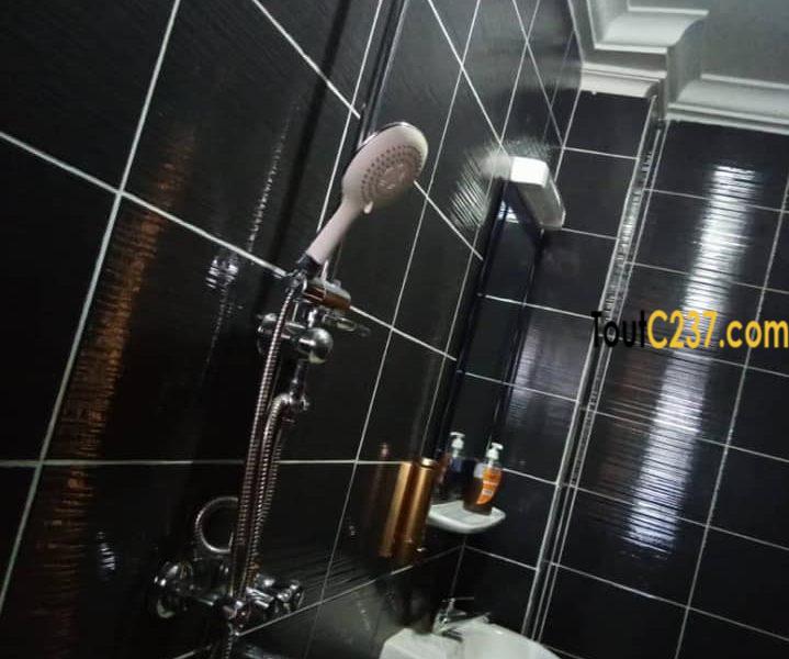 Appartement meublé à Bonapriso, Douala
