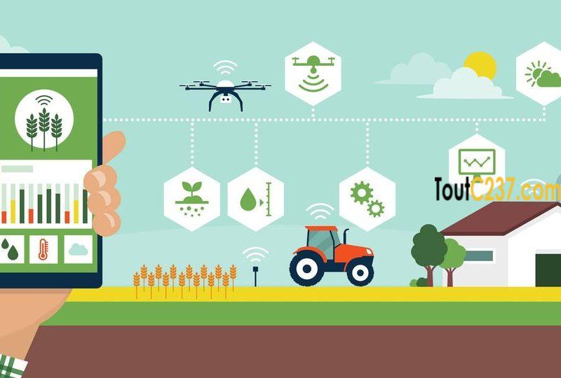 LOGICIEL DE GESTION AGRICOLE