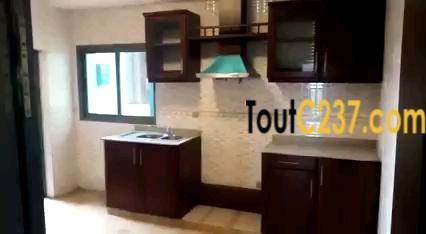Appartement À Louer À Bonapriso, Douala