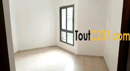 Appartement À Louer À Bonapriso, Douala
