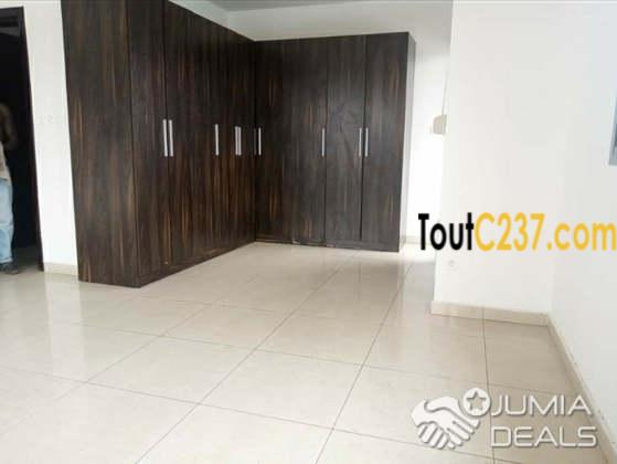 VIP: Vaste Appartement À Louer À Bonapriso, Douala