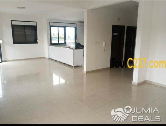 VIP: Vaste Appartement À Louer À Bonapriso, Douala