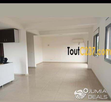VIP: Vaste Appartement À Louer À Bonapriso, Douala