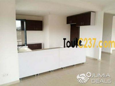 VIP: Vaste Appartement À Louer À Bonapriso, Douala