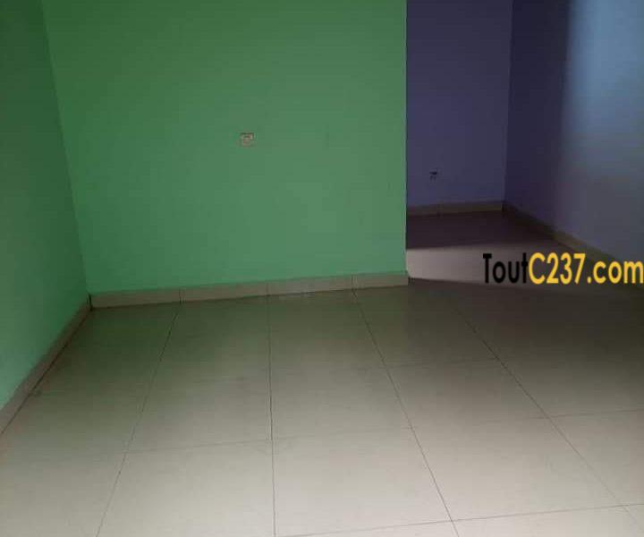 Maison, villa à louer à Pk12, Douala