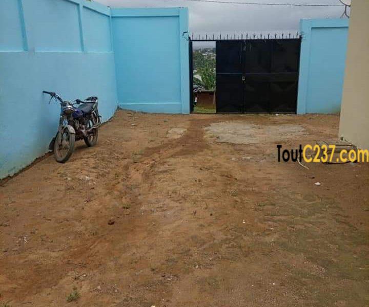 Maison, villa à louer à Pk12, Douala