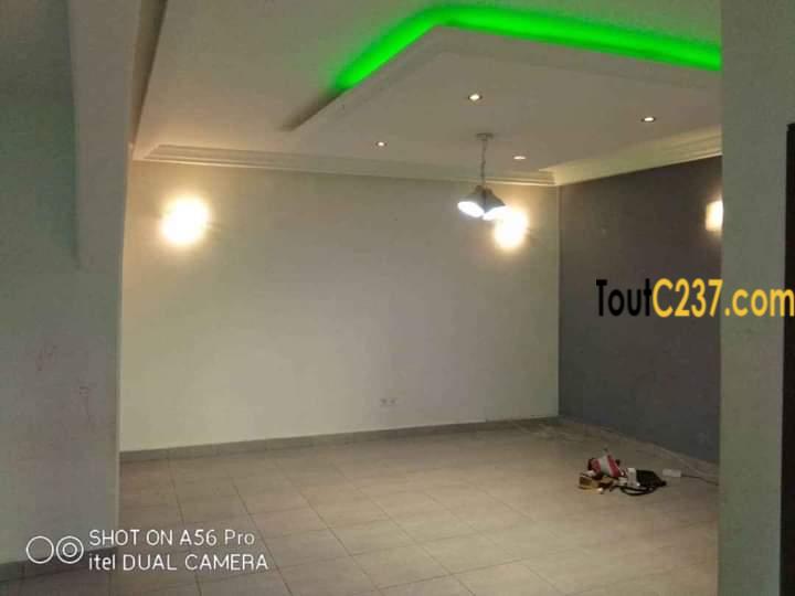 Somptueux appartement en duplex à louer à kotto, Douala