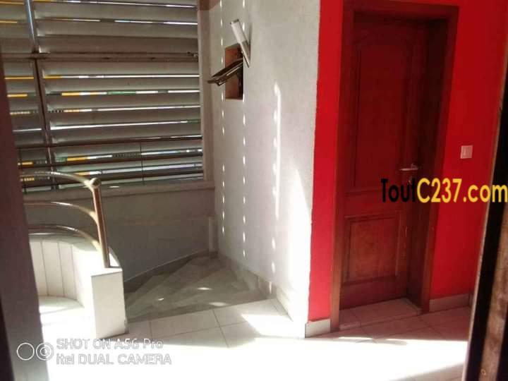 Somptueux appartement en duplex à louer à kotto, Douala
