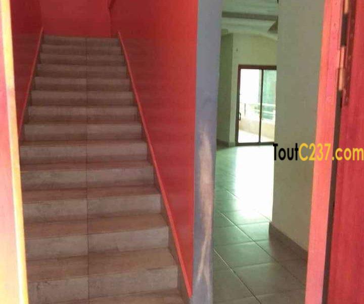 Somptueux appartement en duplex à louer à kotto, Douala