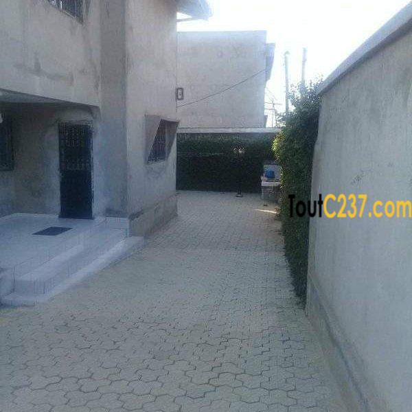 Duplex à vendre à japoma, Douala