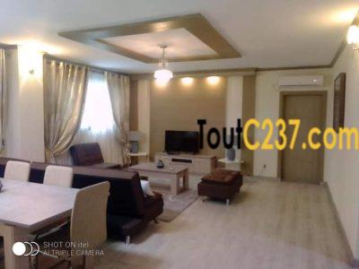 Appartement meublé à louer à Bonapriso, Douala