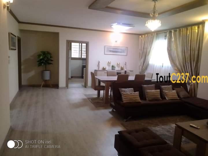 Appartement meublé à louer à Bonapriso, Douala