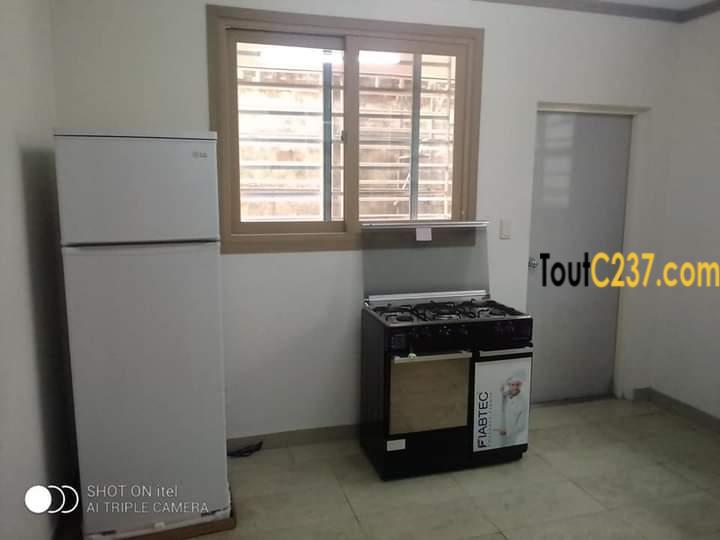 Appartement meublé à louer à Bonapriso, Douala