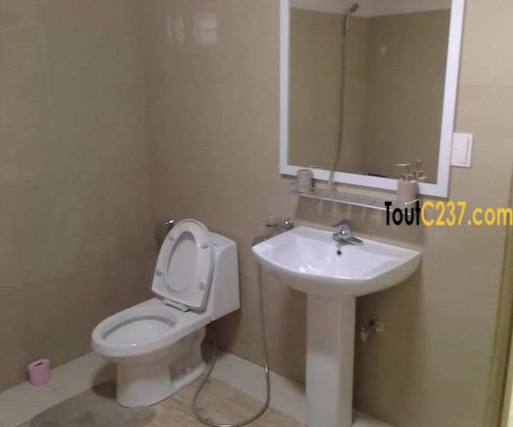 Appartement meublé à louer à Bonapriso, Douala