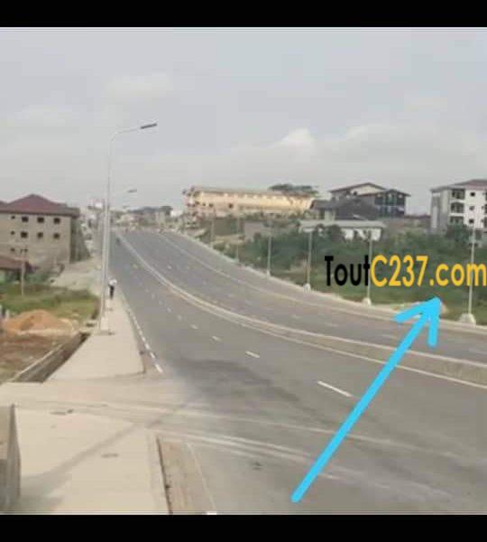 Urgence: Terrain commercial à vendre à DoJapima, Douala