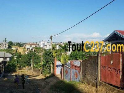 Terrain à vendre à Logbessou, Douala