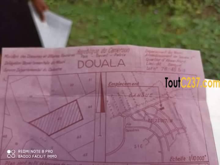 Terrain à vendre à kotto, Douala
