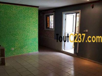 Appartement à louer à bonapriso, Douala