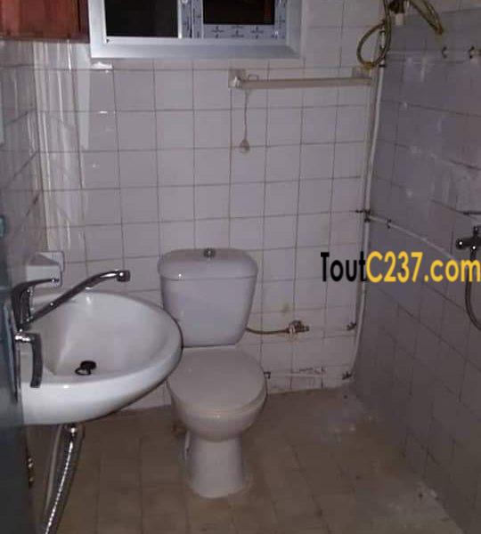 Appartement à louer à bonapriso, Douala