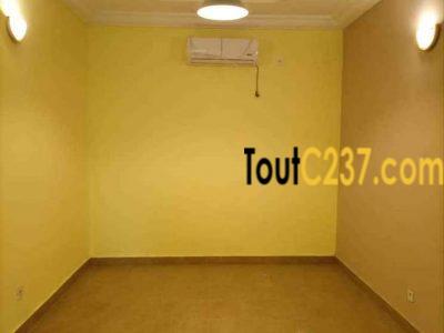 Appartement VIP à louer à Kotto, Douala