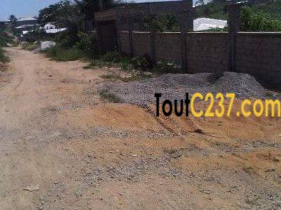 Terrain à vendre à Japoma, Douala