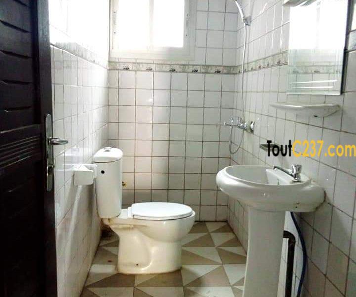 Appartement à louer à Bonamoussadi, Douala