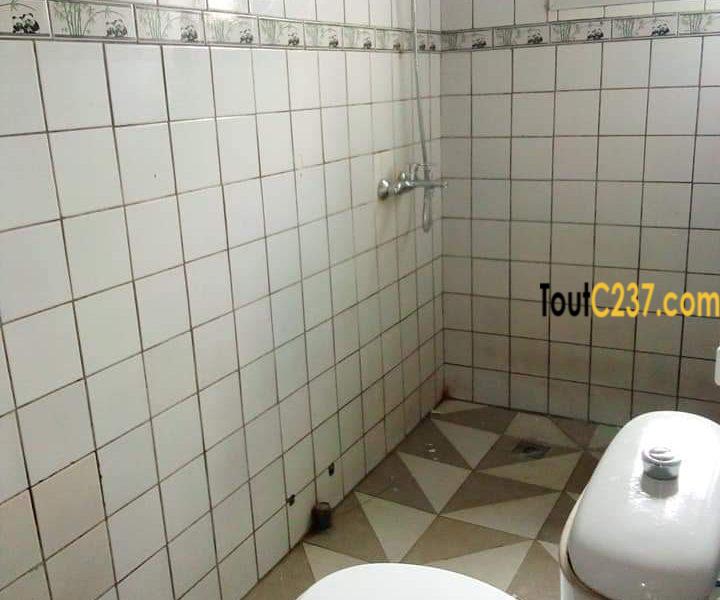 Appartement à louer à Bonamoussadi, Douala