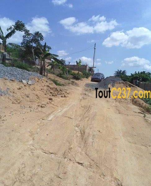 Terrain à vendre à Pk17, Douala