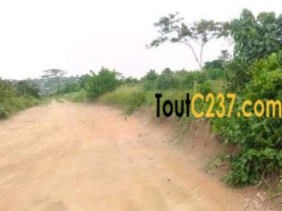 Terrain à vendre à Pk17, Douala