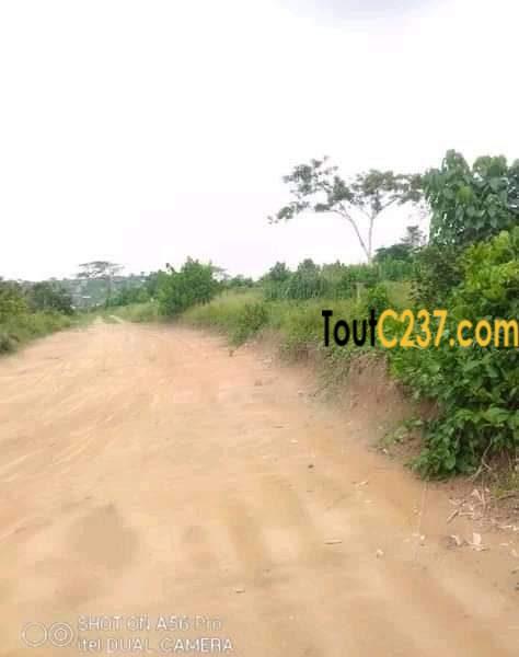 Terrain à vendre à Pk17, Douala