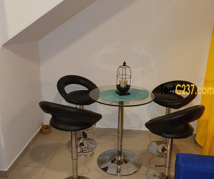 Studios meublés à louer à Bonamoussadi, Douala