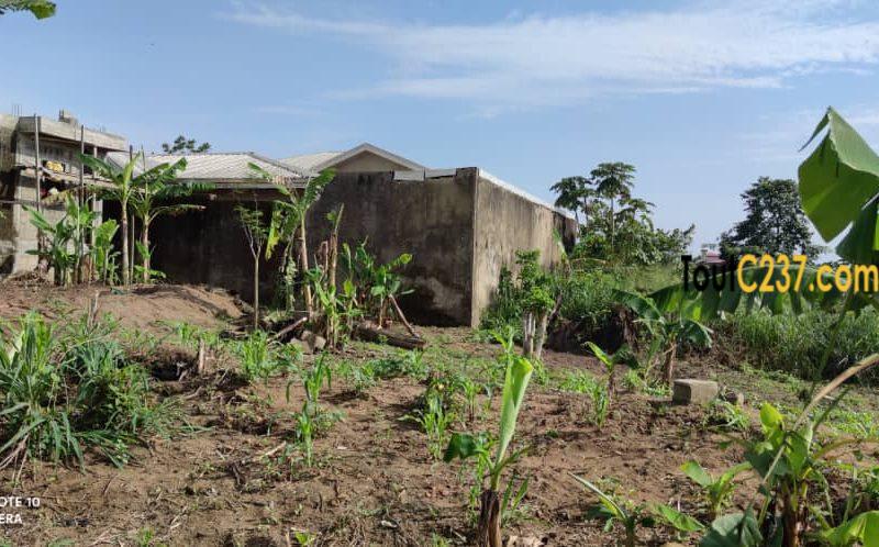 Terrain à vendre à Logpom, Douala