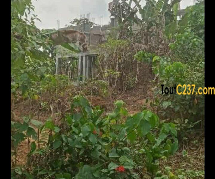 Urgence: Terrain d'angle à vendre à Lendi , Douala