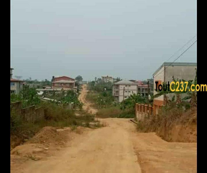 Terrain à vendre à Lendi, Douala