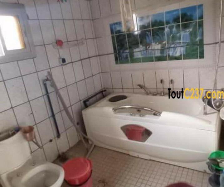 Duplex à louer à pk13, Douala