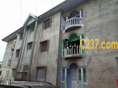 Immeubles à vendre à logbessou, Douala