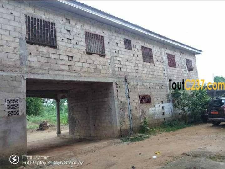 Immeubles à vendre à logbessou, Douala